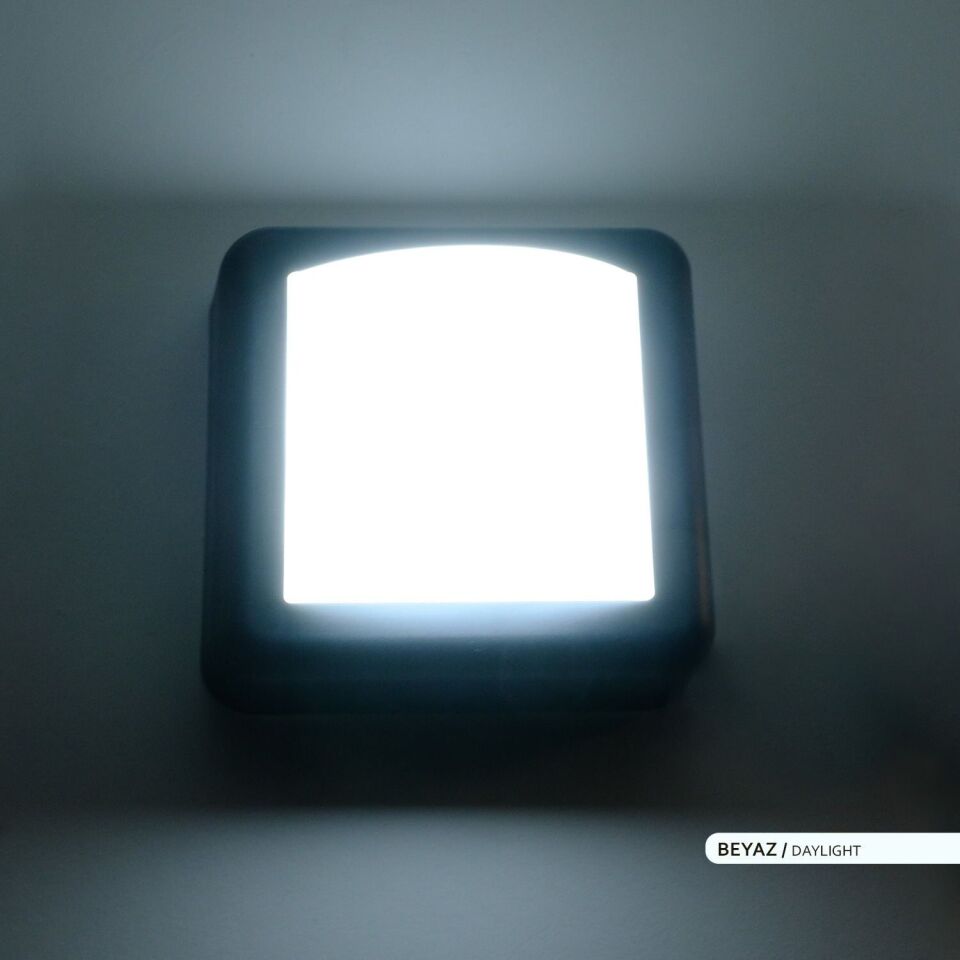 ACK AH07-05031 4W 6500K 14 cm X 5,1 cm LED Duvar Apliği