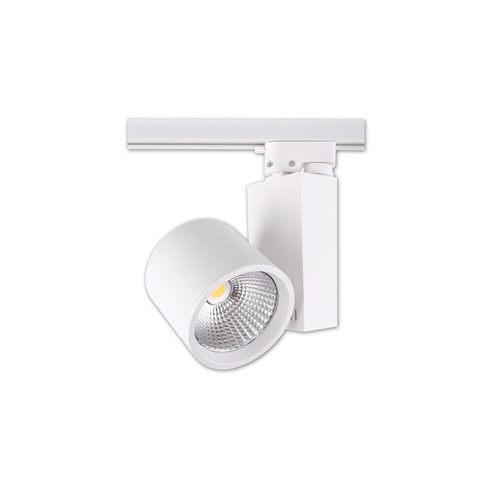 ACK AD30-04010 30W 4000K COB LED Ray Armatür