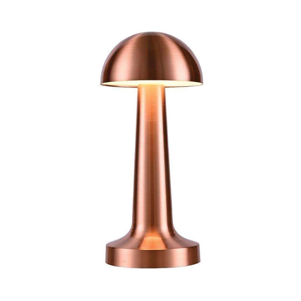 ACK AF11-00297 Şarj Bakır RenkEdilebilir LED Dokunmatik Metal Masa Lambası Şarjlı