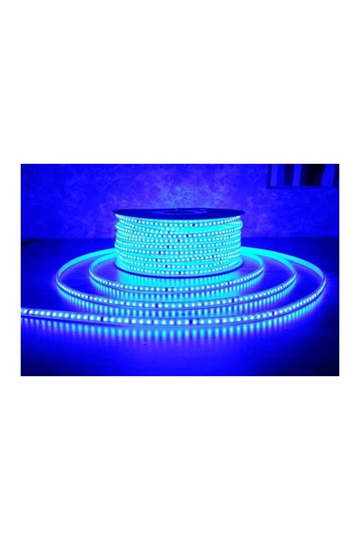 ACK AS01-01506  100 Metre 220V Mavi Dış Mekan Şerit LED