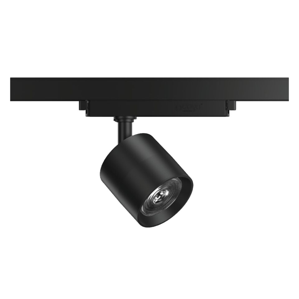 GOYA GY 3653-30 Siyah/Beyaz Kasa 30 Watt LED Ray Spot