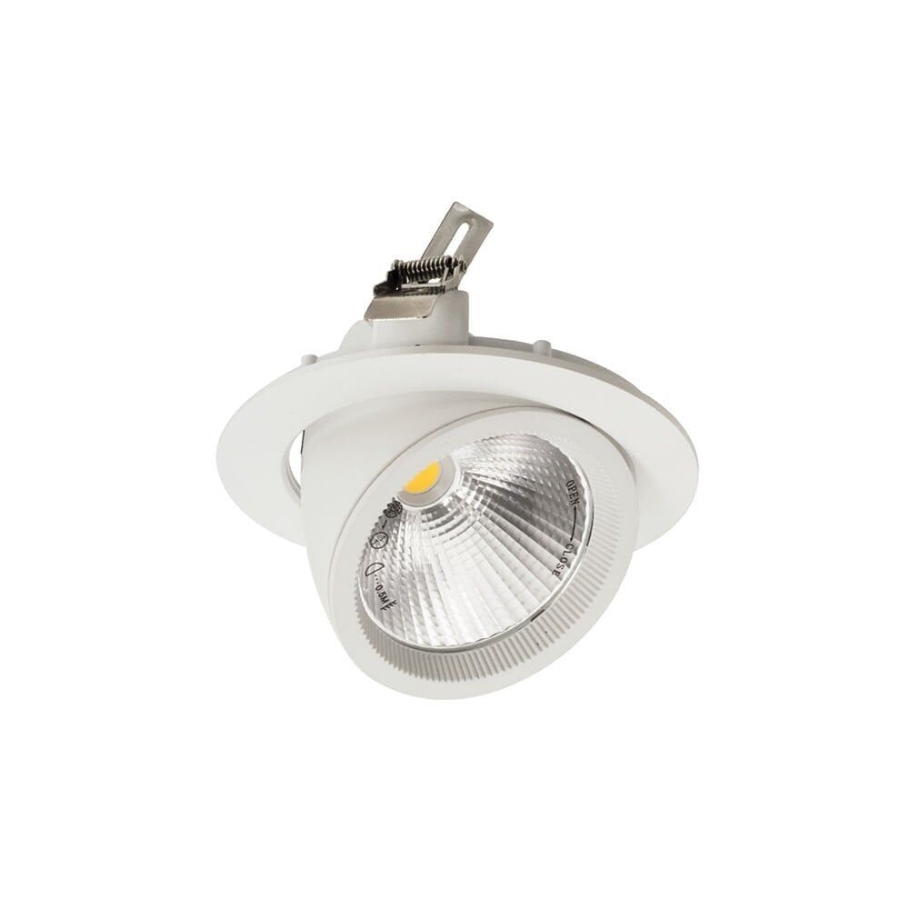 ACK AD36-00430 30W COB Led Salyangoz Armatür 6500K