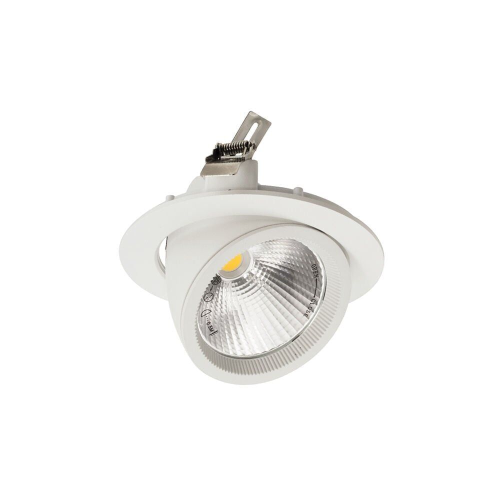 ACK AD36-00410 30W COB Led Salyangoz Armatür 4000K