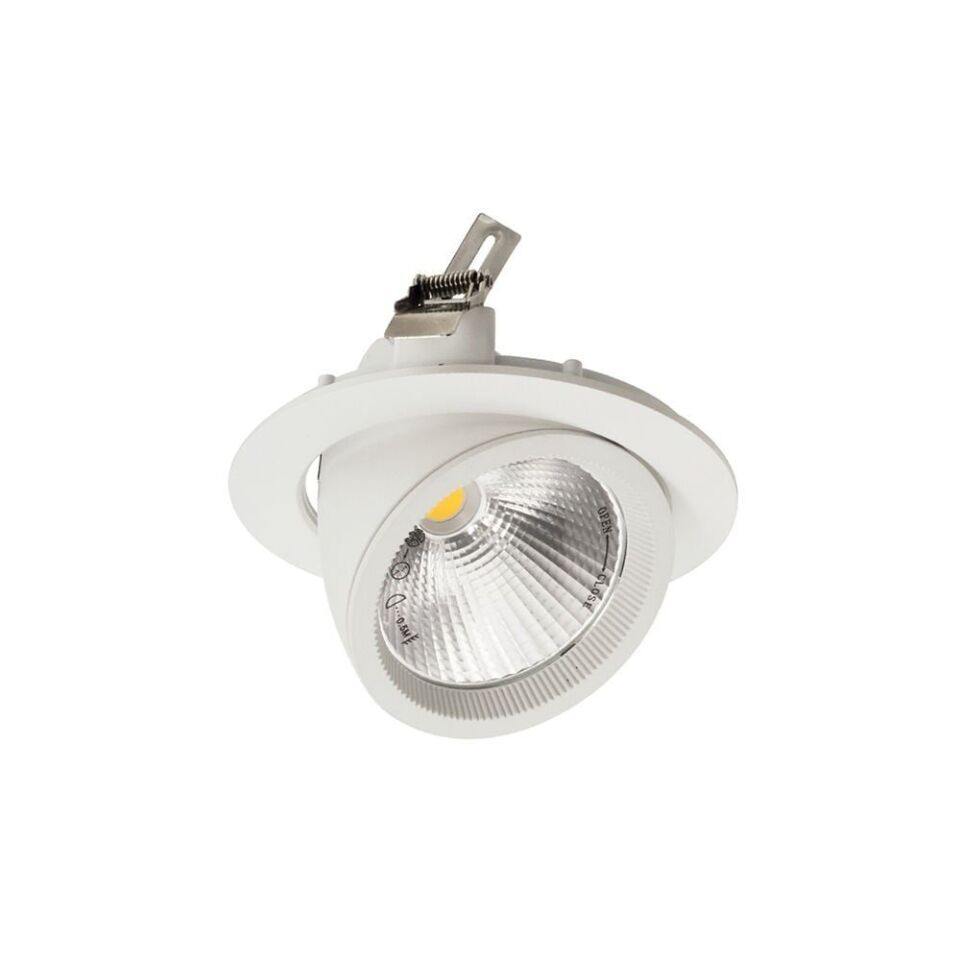 ACK AD36-00410 30W COB Led Salyangoz Armatür 4000K
