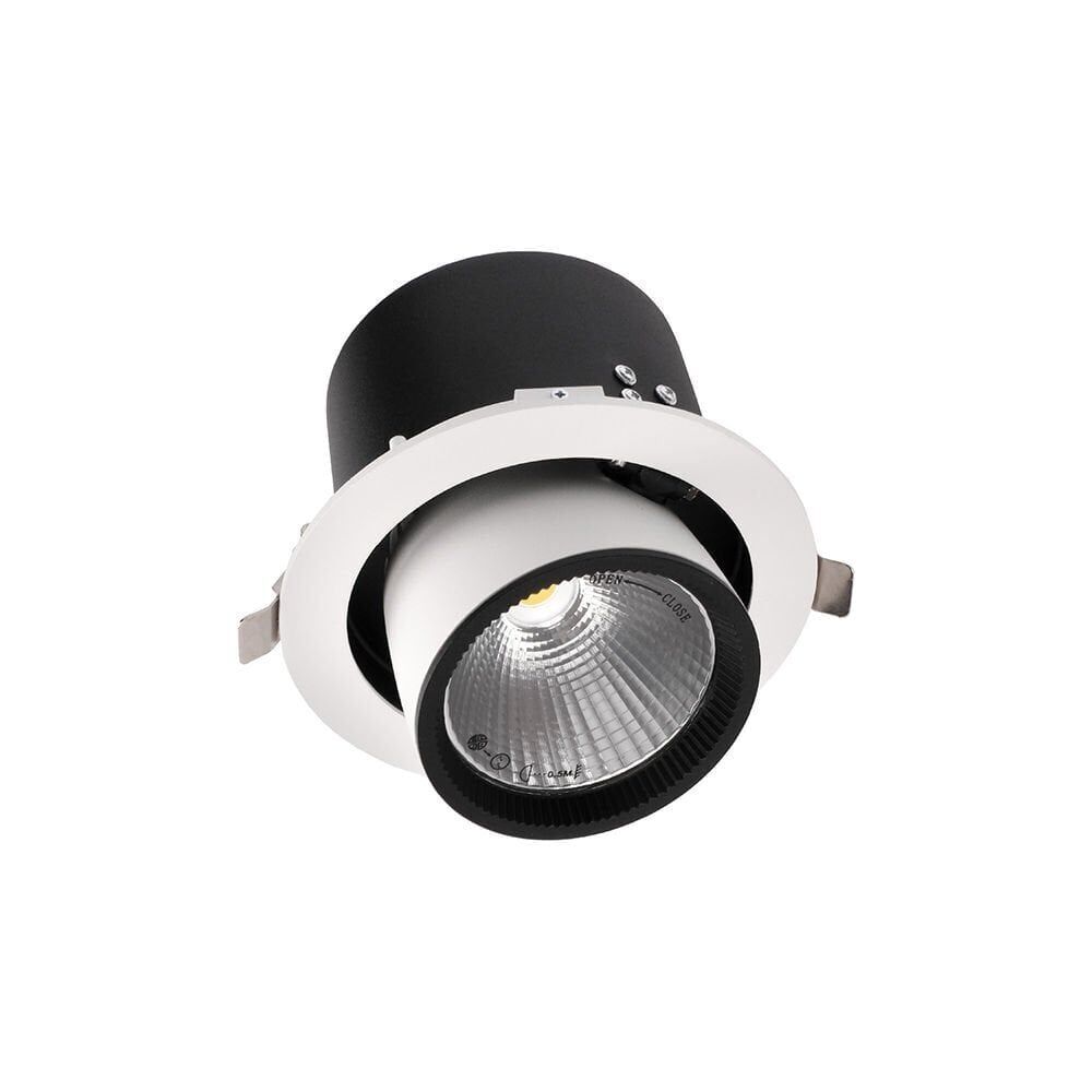 ACK AD36-00610 30W COB Led Salyangoz Armatür 4000K