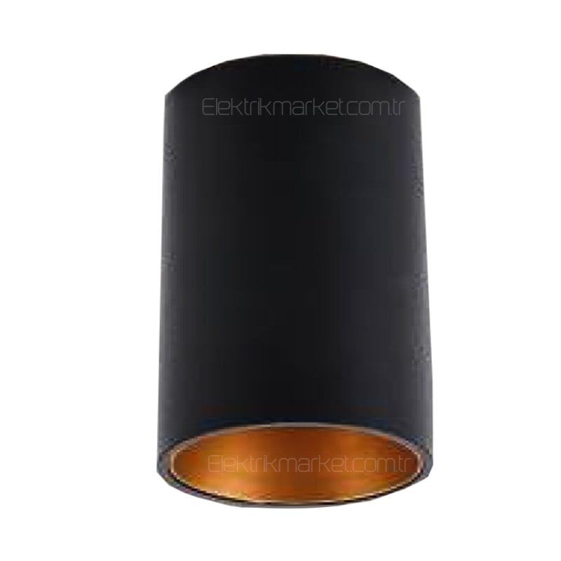 CATA CT-5418 Assos Siyah - Gold Sıva Üstü Dekoratif Armatürü