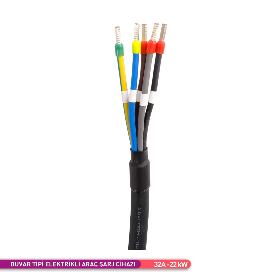 ACK AE02-02321 Duvar Tipi Elektrikli Araç Şarj Cihazı 32A 22 kW