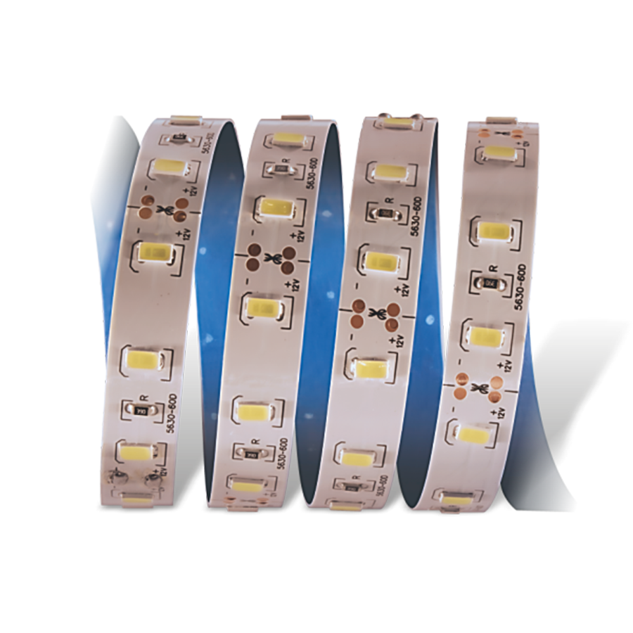 CATA CT-4537 Gün Işığı Gold 12V İç Mekan Şerit Led 5 metre