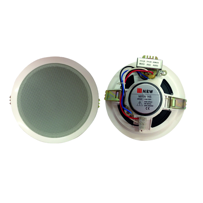 Mervesan 10 Watt Hoparlör MRW-H6