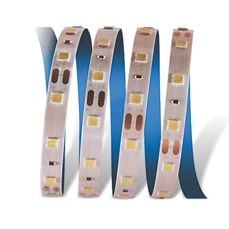 CATA CT-4484 10 Çipli Şerit Led İç Mekan 12V Mavi̇ 5 metre