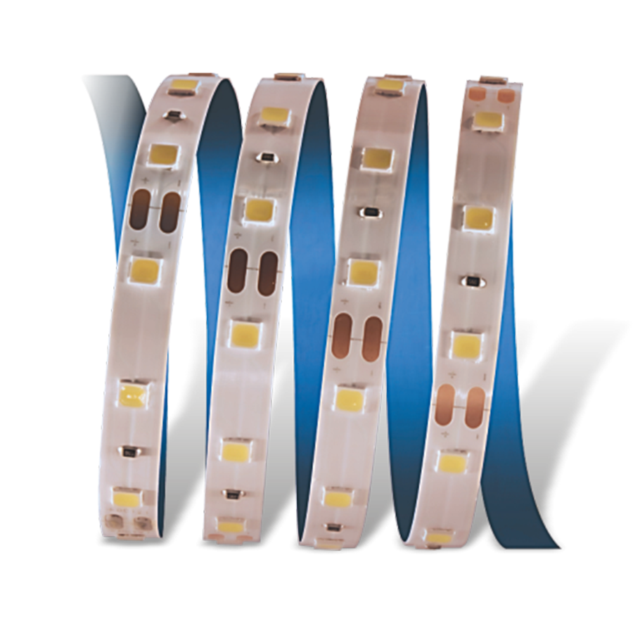 CATA CT-4483 10 Çipli Şerit Led İç Mekan 12V Yeşi̇l- 5 metre