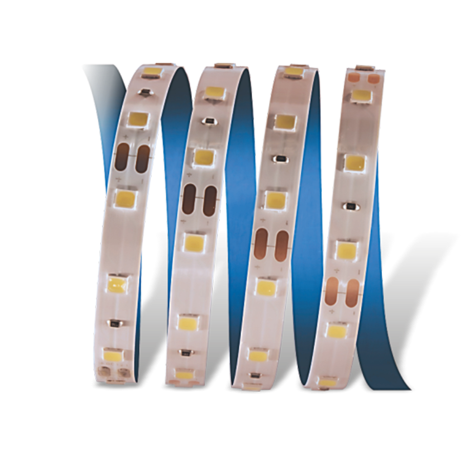 CATA CT-4481 10 Çipli Şerit Led İç Mekan 12V Gün Işığı 5 metre