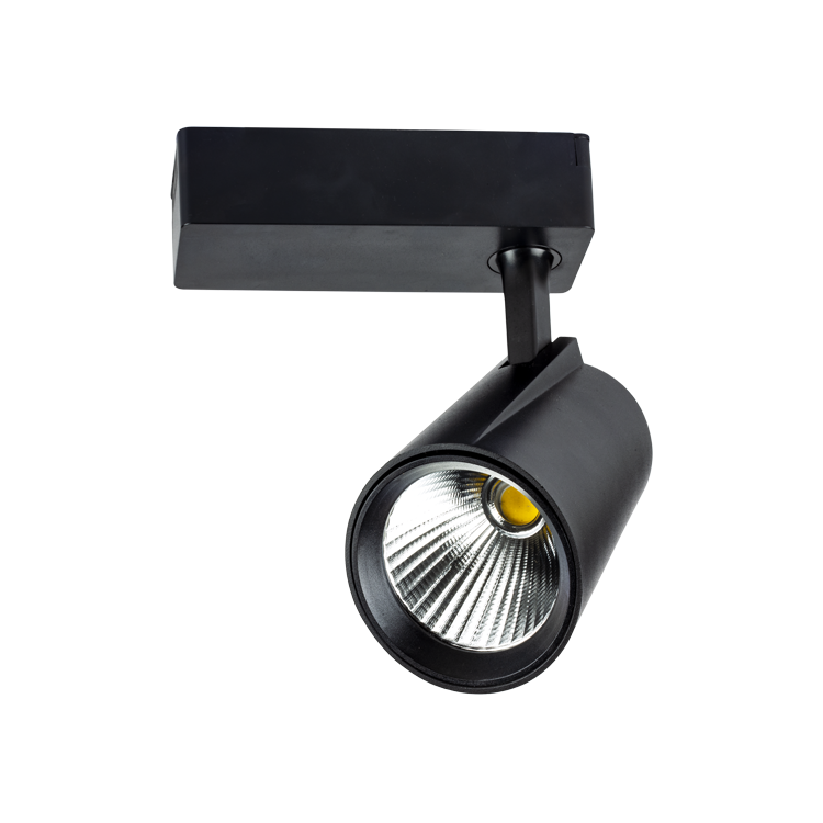 NOAS YL29-4001 40w 6500k Beyaz Işık Siyah Lyon LED Ray Spot