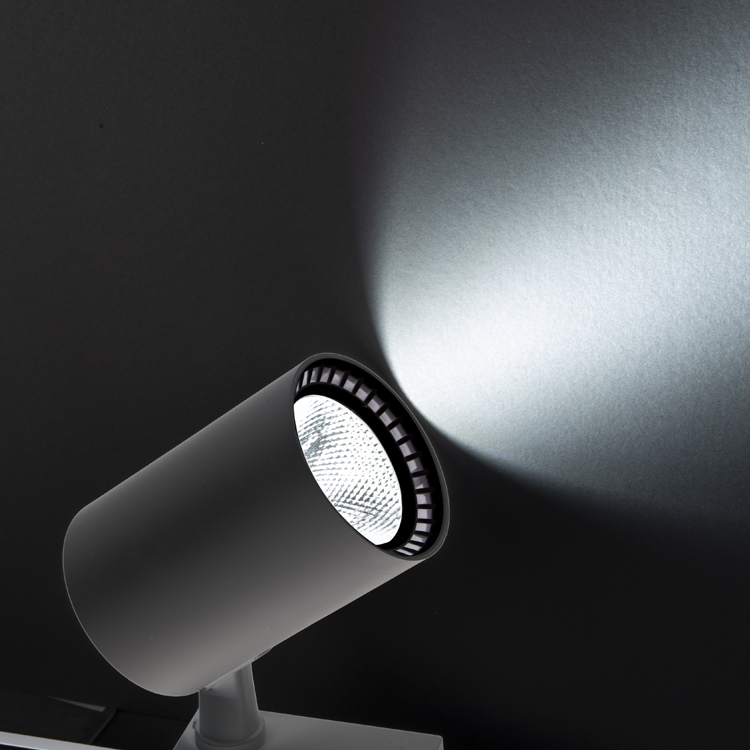 NOAS YL29-3107 30w 4000k Natural Beyaz Işık Siyah Paris LED Ray Spot